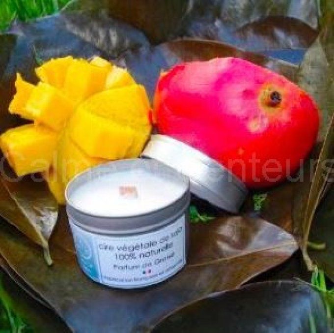 bougie en pot parfum mangue