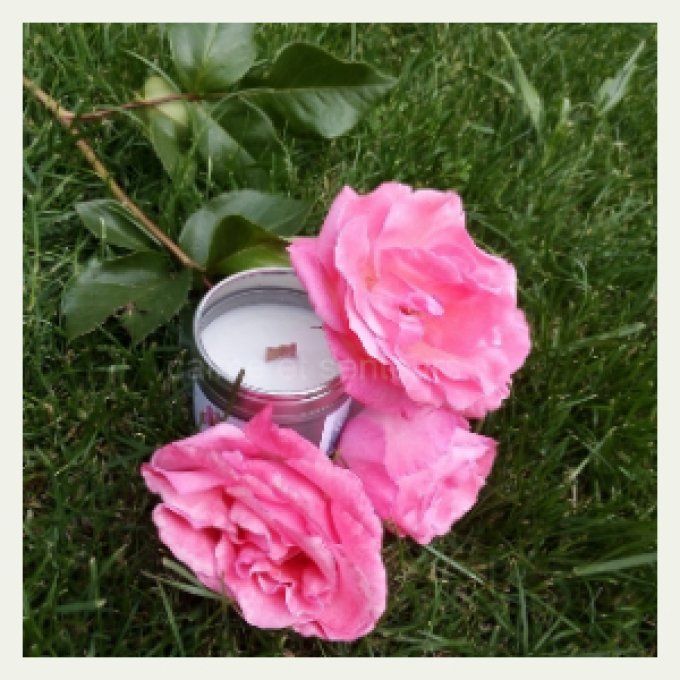 bougie en pot trois roses couleur rose posées sur herbe verte